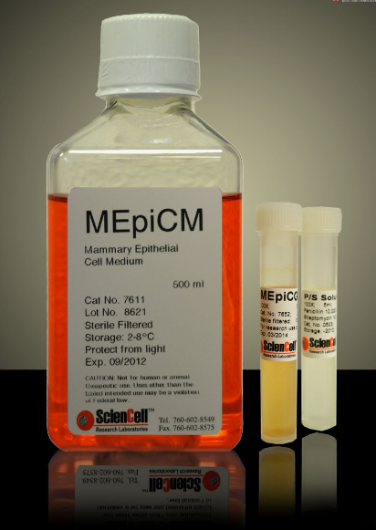 ƤB(yng)MEpiCM